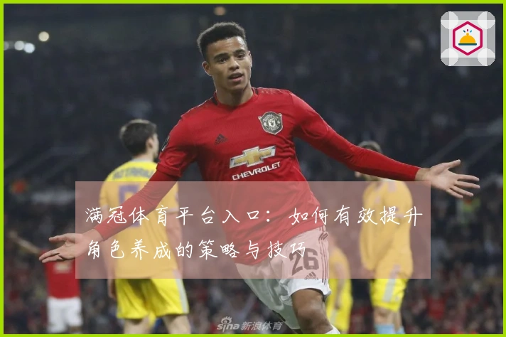 满冠体育平台入口：如何有效提升角色养成的策略与技巧