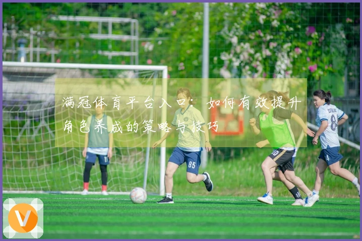 满冠体育平台入口:如何有效提升角色养成的策略与技巧